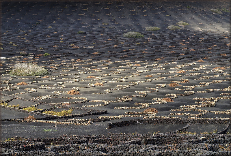 Memories from Lanzarote:  The wine Valley of La Geira