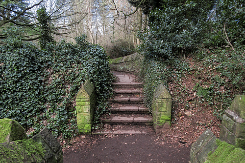 Fenney Lane steps