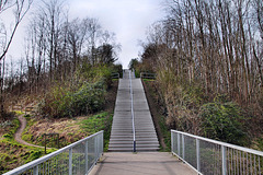 Treppe zum Haldenplateau (Schurenbachhalde, Essen-Altenessen) / 2.03.2024