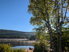 Écouter le silence du matin / Ouvir o silêncio da manhã