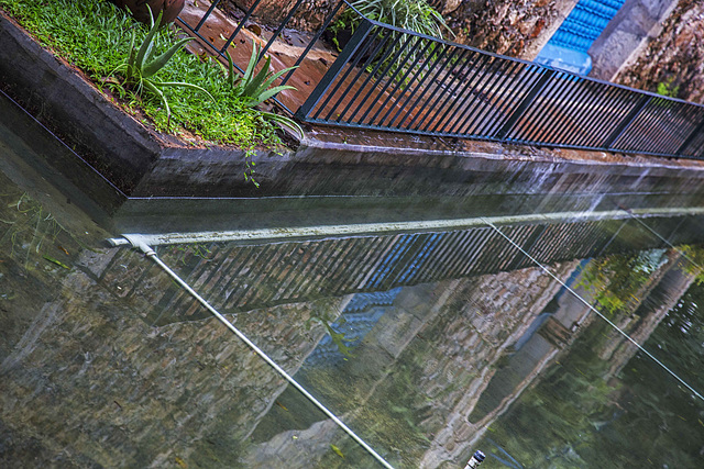 Reflections and Fence