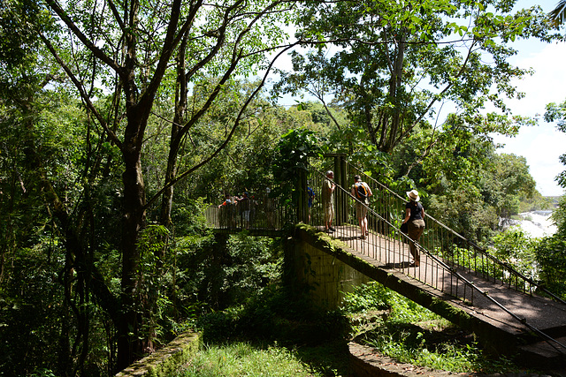 Venezuela, Puerto Ordaz, Small Bridge in the Park of La Llovizna