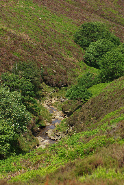 Span Clough