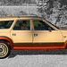 AMC Eagle