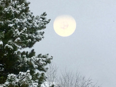 un matin gris un matin gris