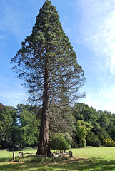 Nederland - Putten, Schovenhorst Nederland - Putten, Schovenhorst