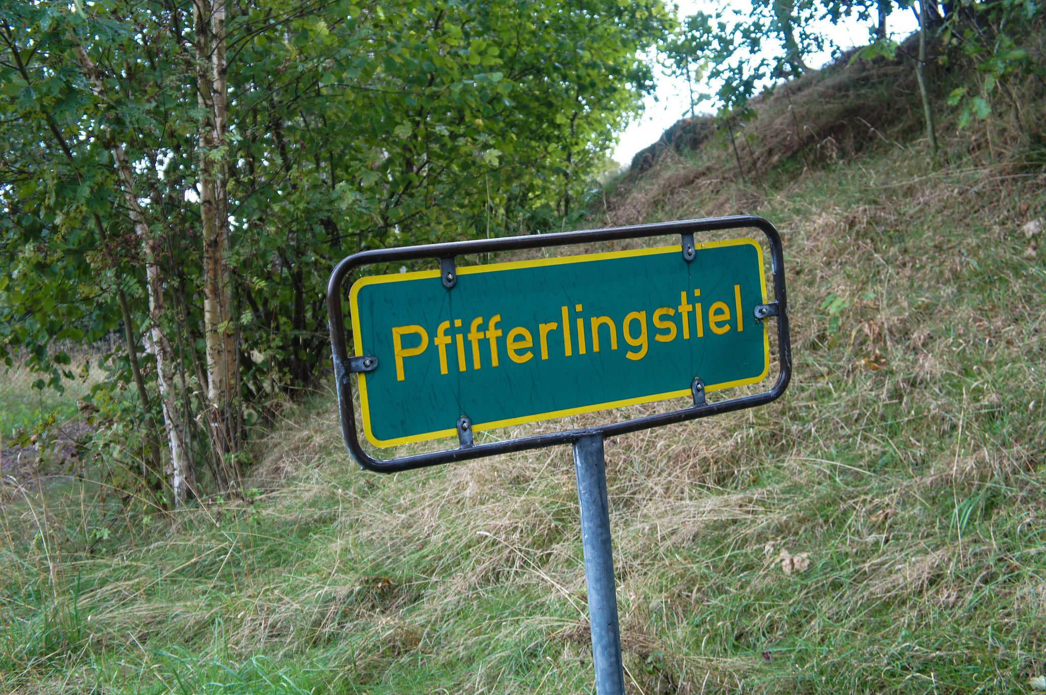 Eis am Stiel war gestern.