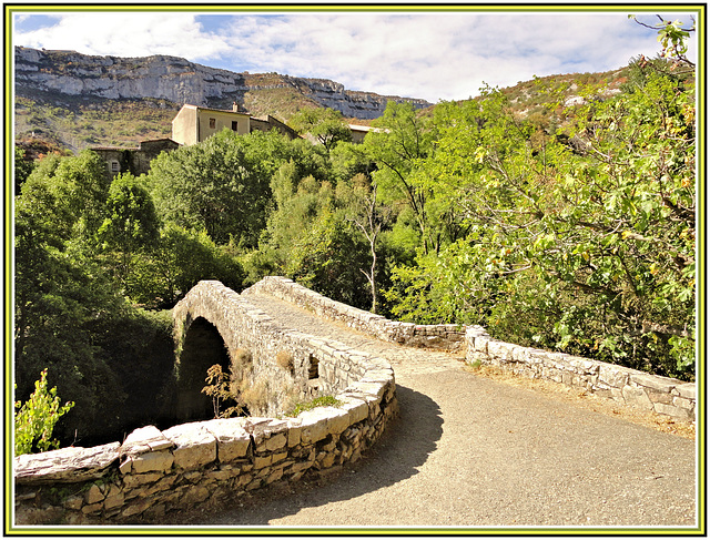 Dans les Cévennes