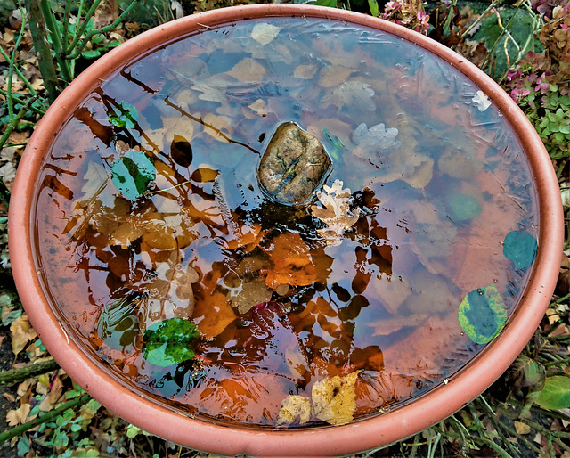 Eingefrorener Herbst