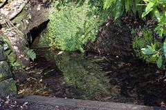 St Patricks well, Spital