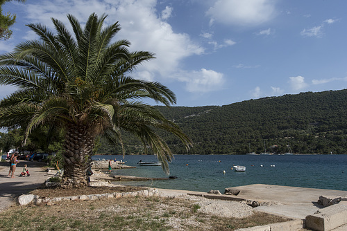 Grebastica - Croazia