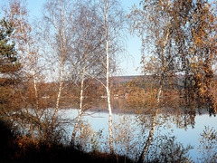 Herbst am Steinberger See