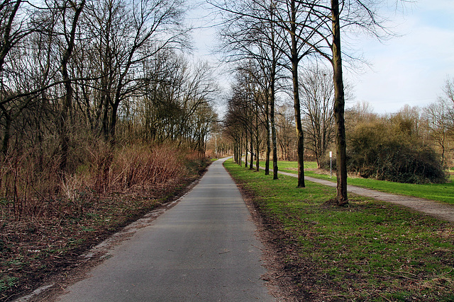 Emscherstraße (Essen-Altenessen) / 2.03.2024