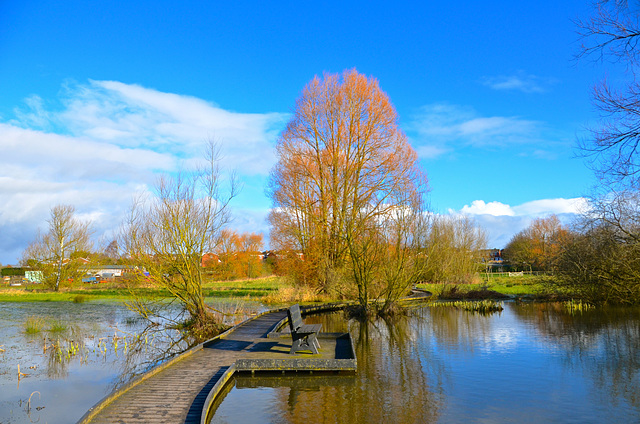 The Acres, Gnosall Heath