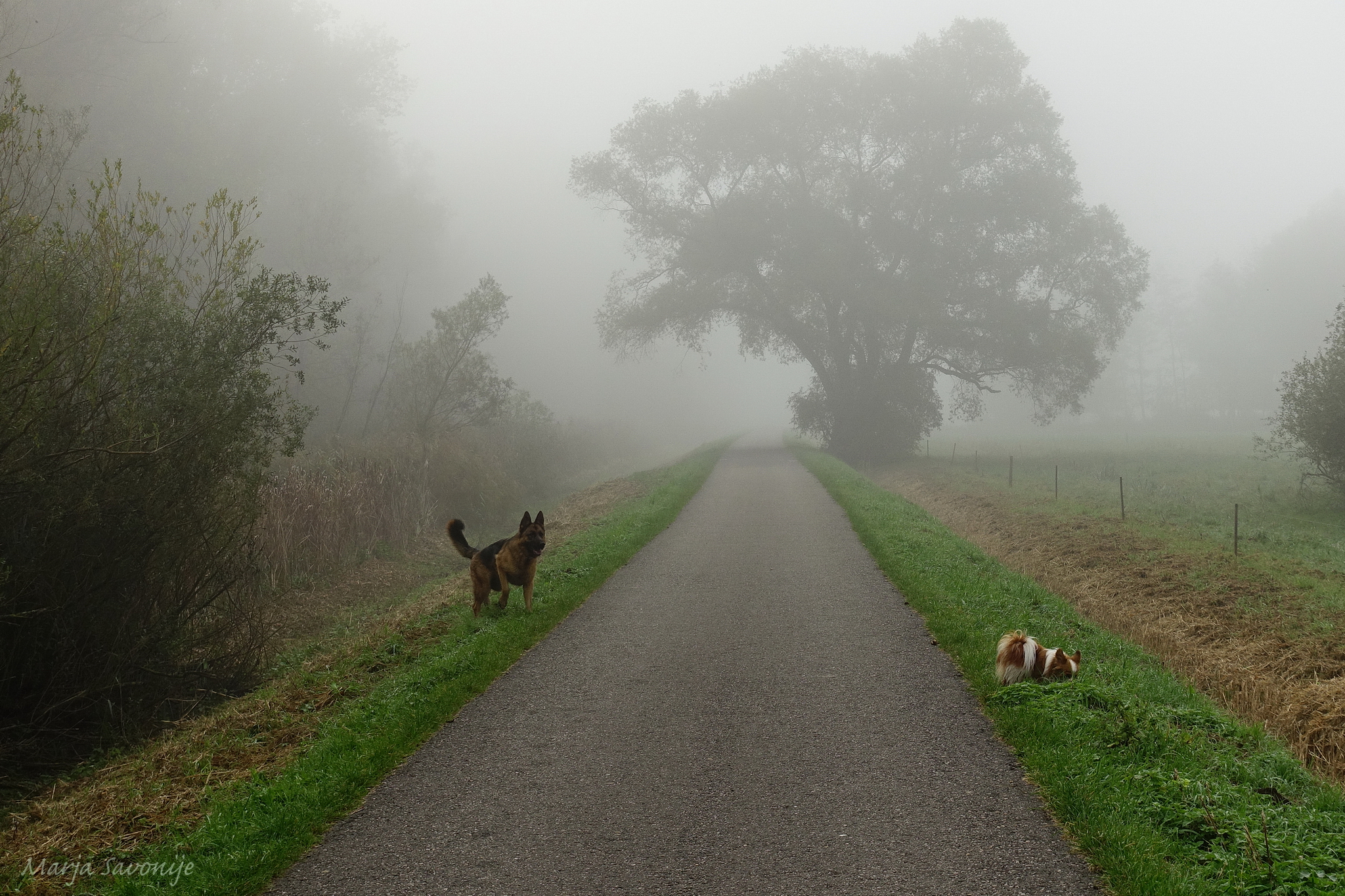 Het was mistig vanmorgen