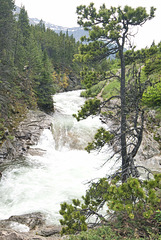 white water, Waterton NP