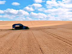 The Dutch Barn