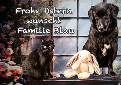 Frohe Ostern diesmal ohne Hase ?