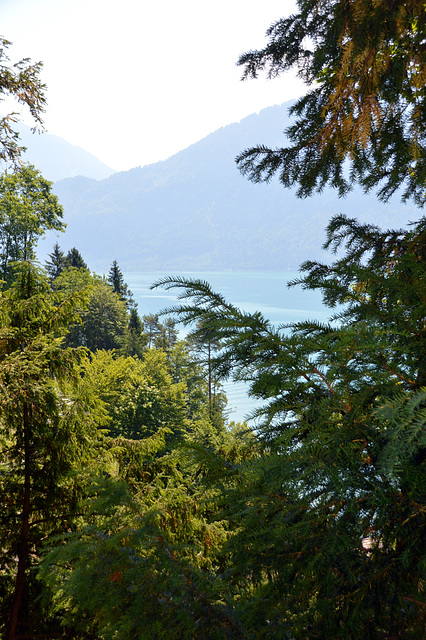 Sommertag am Thunersee