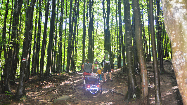 Hiking trails in the Bieszczady Mountains, Carpathians Poland