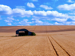 The Dutch Barn