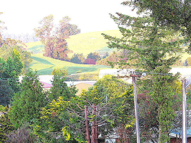 From Tokoroa Lookout.