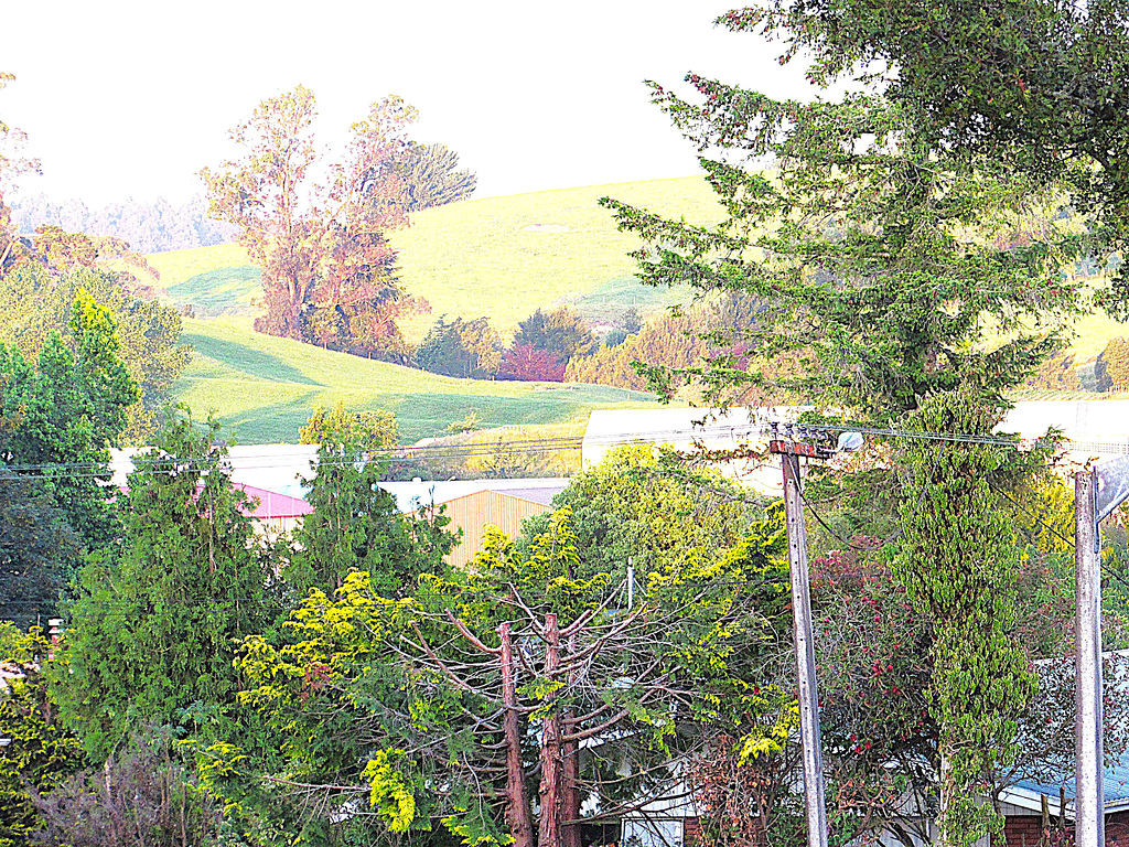 From Tokoroa Lookout.