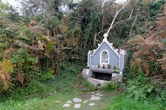 Notre Dame des bruyères, des coteaux et des bois