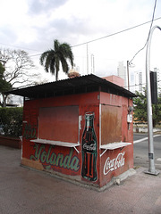 Coca-cola Yolanda