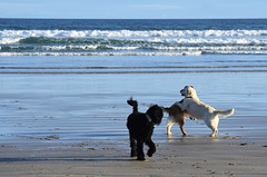 autumn at the beach