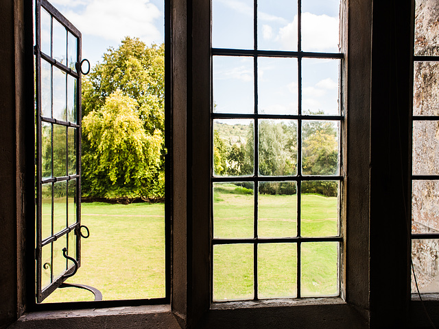 Abbey Window