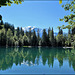 Plateau d'Assy (74) Le Lac Vert.