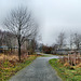 Radweg auf der ehem. Zechenbahn (Recklinghausen-Hochlarmark) / 11.12.2021