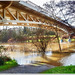 The river overflows under the bridge - HFF.