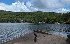 Un hibou en contemplation / A contemplative owl