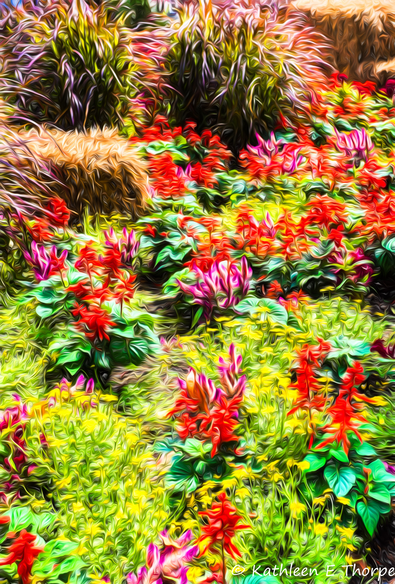 Flower Garden Festival 8 Topaz Filter Modern