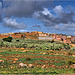 Berber village