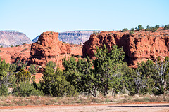 New Mexico landscape44