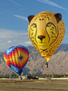 Cathedral City Balloon Festival (66) - 22 November 2019