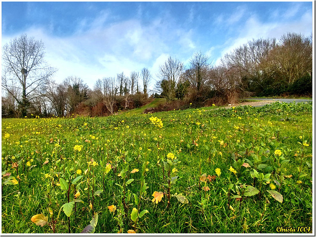 Envie d'un avant-goût de printemps?