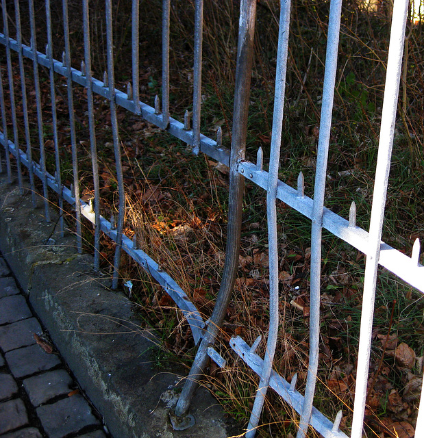 Happy Fence Friday with a little sunbeam