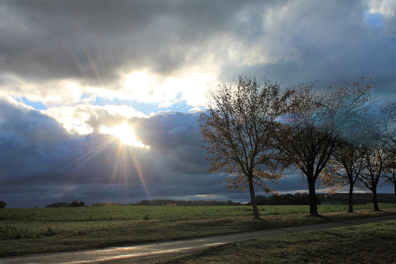 Clin d'oeil de Novembre