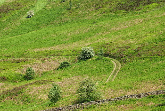 The track north of Hurst Reservoir