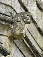 steeple ashton church wilts c16 beastie (5)