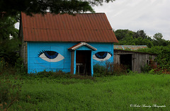 Le regard de cette vieille maison