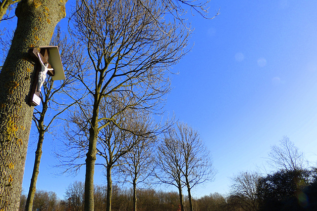 Jesus Christ......what a blue sky Jesus Christ......what a blue sky