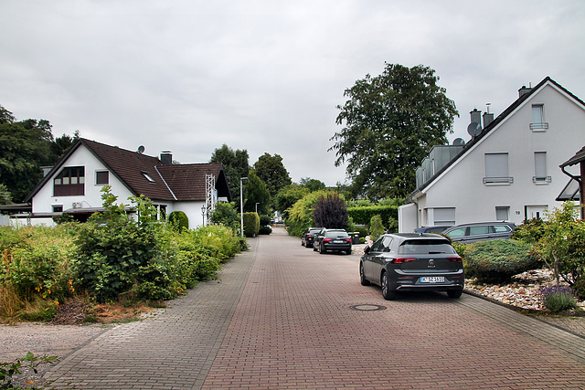 Am Biestenkamp (Mülheim-Mintard) / 5.07.2025
