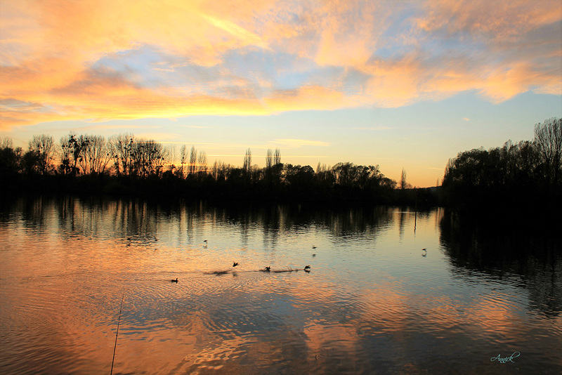 sous le ciel de cuivre et d'eau, la Seine