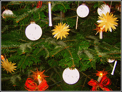 360/365 - Besinnung unter dem Weihnachtsbaum