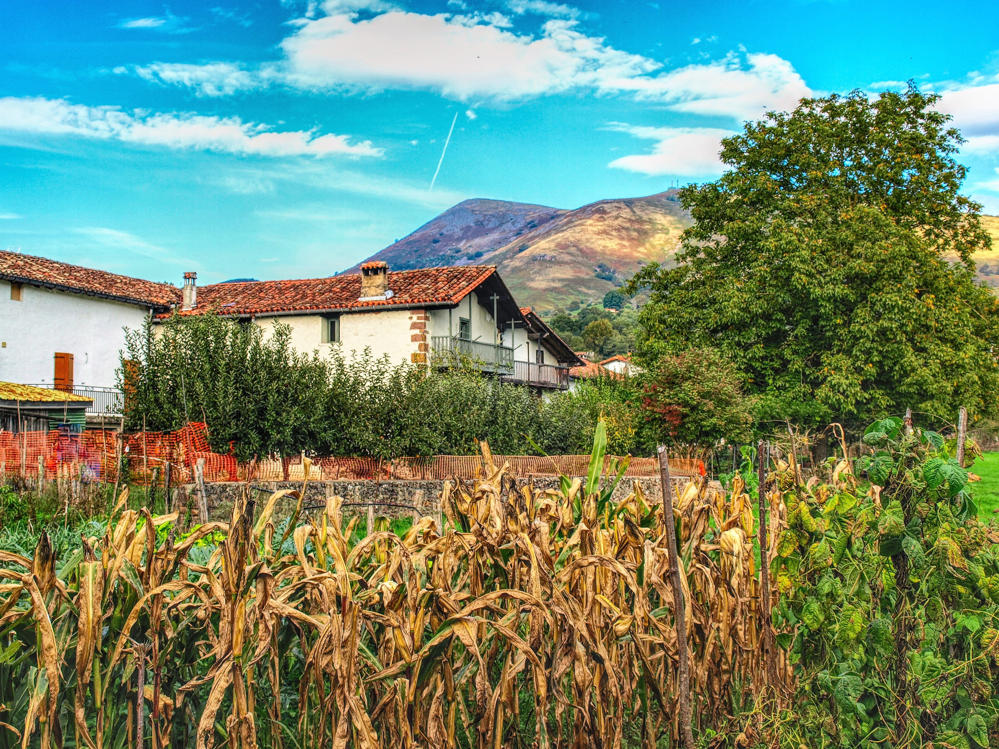 Bozate,  Valle de Baztan,  Navarra .